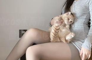 不呆猫的cos太高清，居家猫猫女友配一脸懵，你也来试试？