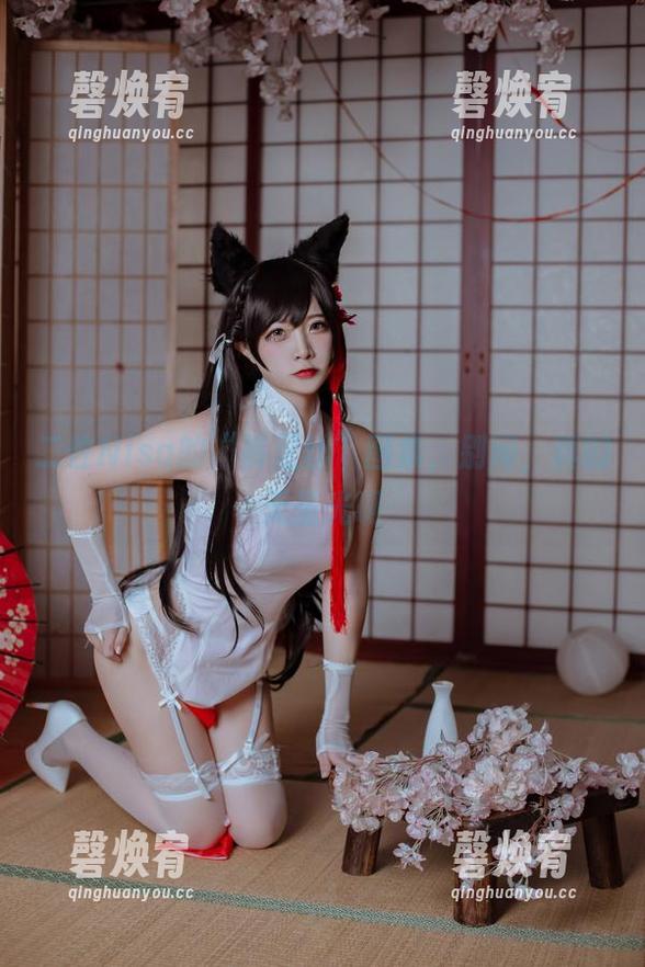 二佐Nisa的“裤里丝”图集，别问，真的无圣光啊
