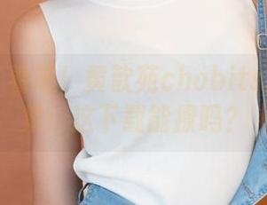 青豆客 – 看吧！黄歆苑chobits的豹纹合集：这下载能撩吗？